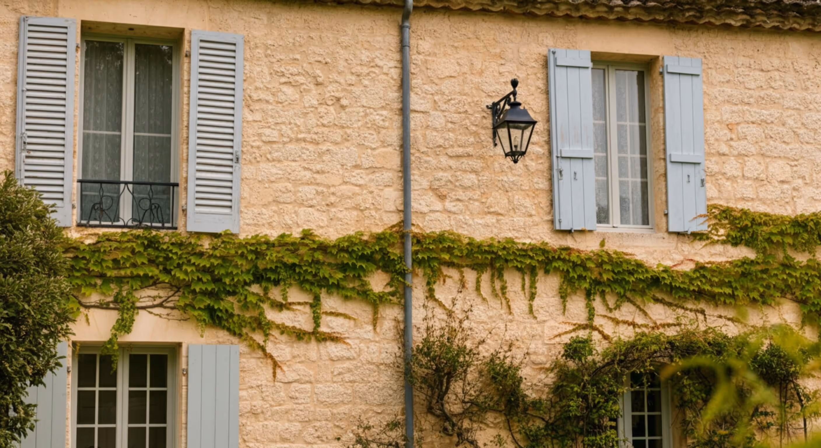Stone house exterior with four windows featuring light blue shutters and green ivy growing along the wall.